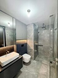 Irwell Hill Residences (D9), Apartment #469344421